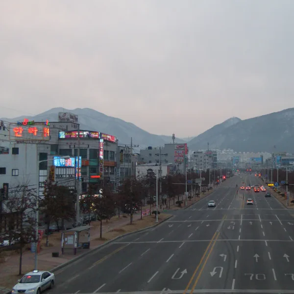 포레스트 은서센터 테라피 안내 이미지