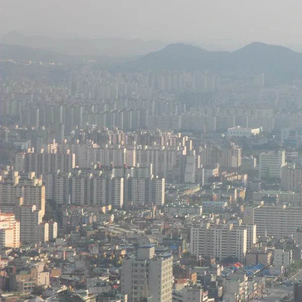 프리미엄 라엘케어 테라피 제휴업체 이미지