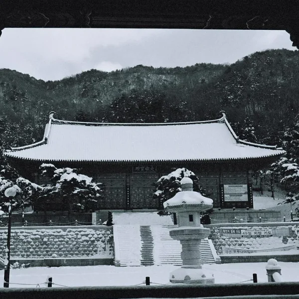 블랑 베르디아지트 홈타이 제휴업체 이미지